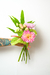 Flores frescas PP