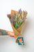 Lavanda
