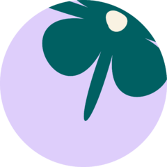 Categoria 2