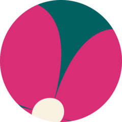 Categoria 1
