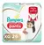 Pampers premium care PANTS - comprar online