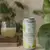 Kombucha Bravia en internet