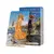 Tarô Sonho Laranja - comprar online