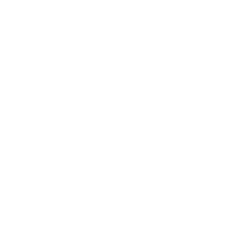 CAMELOT - Productos Originales