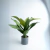 Planta artifcial verde con fondo