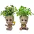 Decoração para casa artesanato modelo em miniatura escritório desktop exibição dos desenhos animados groot estatuetas artesanato decoração árvore homem ornamento 5cm