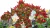 Knack 2 - Ps4 - Wolf Games