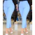 Calça feminina com várias cores, calça casual monocromática, bolso e zíper, combina com tudo, senhora do escritório, moda elegante, verão na internet