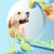 Brinquedos para cães de estimação para cães grandes e pequenos brinquedo interativo corda de algodão mini brinquedos para cães bola para cães acessórios escova de dentes mastigar brinquedo de cachorro - comprar online