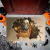 Halloween Dança Esqueletos Porta Mat, Non-Slip Welcome Entrance Tapetes, Spider Skull Tapete, Cozinha Quarto Sala Decoração na internet