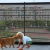 Cercas de barreira para cães de estimação, com 4 peças de gancho, rede isolada para animais de estimação, portão de escadas, novo cercadinho dobrável de malha respirável para cerca de segurança de cãe[...] na internet