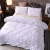 Grey Queen Bed Comforter Set, Capa de edredão e fronhas, Cama em um saco para quarto, conjuntos de cama, 3 pcs