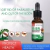 Papagaios e pombos deworming, piolhos de penas, roundworms, pulgas e piolhos, desworming dentro e fora 10ml - loja online