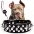 Conjunto de coleira e coleira para cachorro com pontas, coleira de couro com rebite ajustável para caminhada ao ar livre