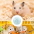 Correndo Exercício Ball para Hamster, Roda para Hamsters, Correr, Seguro, Urso Dourado - Wolf Games
