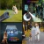 Repelente de cães portátil ultrassônico dissuasor portátil anti-latidos 3 em 1 dispositivo de treinamento de cães repelir animais animais de estimação treinador de cães na internet