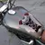 3d motocicleta crânio adesivo decalque tanque de combustível almofada protetor retro decorativo para suzuki yamaha honda harley acessórios na internet