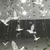 10 pçs teto acrílico cristal beija-flor enforcamentos transparente cristal voando pássaro ornamentos porta cortina hotel decoração de casamento - Wolf Games