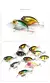 38mm 8g topwater mini crankbait isca de pesca flutuante wobbler isca dura artificial para pique walleye baixo plástico swimbait enfrentar - Wolf Games