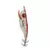 Dndyuju 5 pçs 9g/10cm isca de pesca chumbo chumbada lula gabarito gancho conjunto camarão de madeira artificial polvo choco camarão isca dura - comprar online