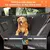 Novo 1pc capa de assento de carro para cães adequado para assentos traseiros, protetor de assento à prova d'água, almofada de carro para animais de estimação resistente a arranhões, preto laranja - loja online