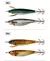 14pc kit de iscas de pesca horizontal lula gabarito isca artificial luminosa webfoot polvo egi isca wobbler choco gancho mar enfrentar - loja online