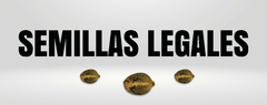 Banner de la categoría Semillas Legales