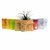 Powder Feeding Bio Bloom 125g en internet