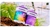 Plagron Alga Bloom 5L - comprar online