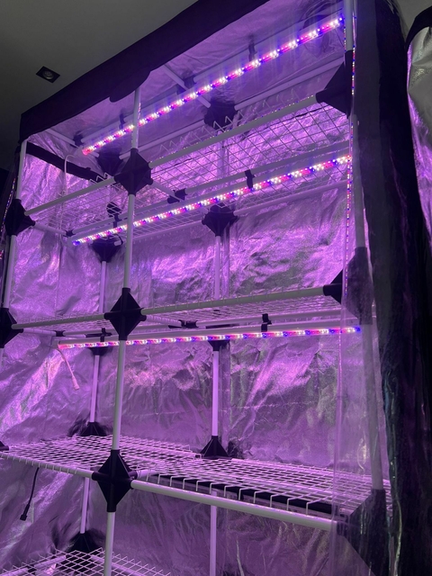 KIF Tubo Led 20w