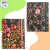 CUADERNO FW 16X21 C/ELASTICO ANIMAL