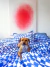 COMBO Habitación Adultos - Flashes de Nic