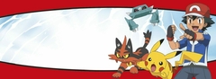Banner de la categoría Pokémon