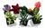 Lego Icons Suculentas 10309 Botanical Collection 771pcs - BrumaStore