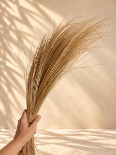 Capim Natural Desidratado Minimalista - comprar online