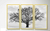 Trio de Quadros Decorativos Cotton Tree na internet