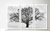 Trio de Quadros Decorativos Cotton Tree - comprar online