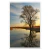 Quadro Decorativo Reflections na internet