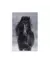 Quadro Decorativo em Tela Kentucky - comprar online