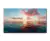 Quadro Decorativo Metacrilato Nuvens Rose - comprar online