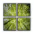 Conjunto de Quadros Decorativos Linha Garden Sky - comprar online