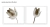 Conjunto de Quadros Decorativos Tulipas - comprar online