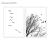 Conjunto de Quadros Decorativos Birdie - comprar online