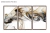Trio de Quadros Decorativos Dessin na internet