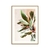 Quadro Decorativo Mazzo - comprar online