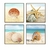 Composição de Quadros Decorativos Conch - comprar online