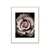 Quadro Decorativo Blossom - comprar online