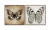 Conjunto de Quadros Decorativos Papillons - comprar online