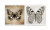 Conjunto de Quadros Decorativos Papillons na internet
