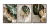 Trio de Quadros Decorativos Quincy - comprar online